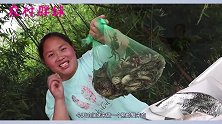 胖妹用一斤半酒做醉蟹，大洋解决一半吃醉说出藏钱位置，胖妹笑啦