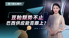 豆粕颓势不止  巴西供应能否跟上？