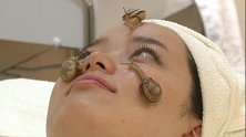 “蜗牛美容”掀起热潮，到底是噱头，还是真有科学依据呢？
