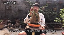 到底是什么样的奇石，让小朋找了好几天，做出来的附石竟如此好看