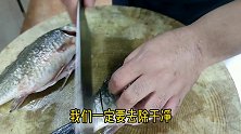 淡水鱼怎么做不腥？大厨教你几个知识点，鱼肉鲜嫩入味，太费饭了