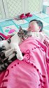 原来猫咪这么喜欢小孩子啊真有爱心