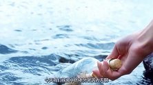 老外将装有现金的瓶子放水底，能拿到多少钱？网友：真能憋气！