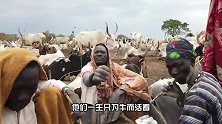 把牛奉为“上帝”的原始部落，每天用牛尿洗脸，一辈子为了牛而活