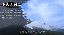 富士山山脚下一林场，50年来上千人在此地结束生命，令人生畏
