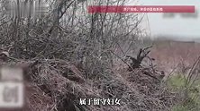 河北52岁留守妇女遭邻村男子性骚扰，反抗后被杀害抛尸，受害者家属发声