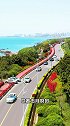 青岛西海岸网红东环岛路太适合自驾兜风啦！碧海蓝天颜值超高超治愈超解压～
