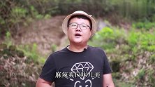 几百元买的牛舌头，做一份香辣牛舌，卤完之后爆炒最美味