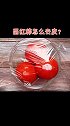 西红柿怎么去皮