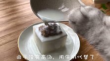 猫和虾的决斗，一切都被猫安排的妥妥当当