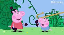 小猪佩奇：黑莓灌木丛