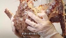 “蟹中之王”帝王蟹，是如何捕捞的人命堆起来的美味！