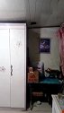 猫：屋子里动静太大了，我还是去天花板上睡！