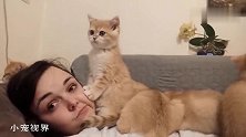 把主人当垫脚石的小奶猫，化身土拨鼠：别动，那边有动静
