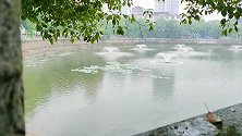 祁阳县的莲子塘，短短两年就变成了祁阳市民每天散步的“闹市区”