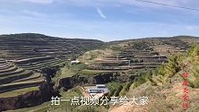 夏天，甘肃人最爱吃的苦苣浆水面是这样做的，清热解暑最过瘾