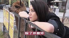 廖碧儿不为人知的故事