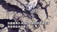男子游阿勒泰疑意外发现石油，大片黑色黏稠液体涌出地面，拍摄者：样品已上报