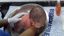 刚出生的婴儿洗澡，小小的宝宝缩在小小的盆里，实在太可爱了