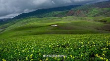 新疆的春天 新疆 花开伊犁