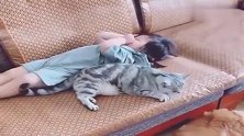 小猫咪和闺女感情太好了，睡觉都要在一起，好有爱呀