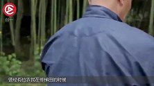 农民在石洞中发现“中华第一龙”，专家鉴定后，震撼刚刚开始！