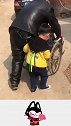 小重孙子真乖，帮爷爷推车，保护爷爷不摔跤