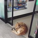 今天我要是挪一下，就算我输！