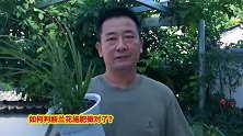 如何看待兰花施肥是否正确？兰友：无非就4个字