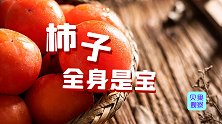 三千年宝藏水果今秋走红！低调的柿子，为何能拿捏流量密码？