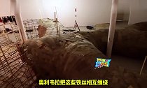 男子买千斤铁丝把家里铺满,人们以为他疯了,几个月后直呼天才!