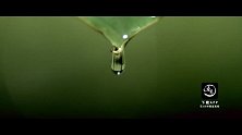 201709247-揭秘恐怖毒蛙的剧毒真相-看鉴地理109集
