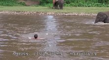 照顾大象17年，饲养员被攻击时大象挺身而出，镜头拍下全过程！