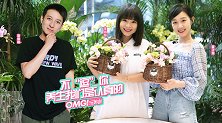 OMG玩美咖 养生我们是认真的