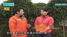 广东云浮郁南东坝镇特产淮山，宣传说煲几个小时不烂，有谁吃过？