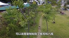 猪每天驮着猴子满世界跑，猴哥坐稳咯，八戒带你找乐子去