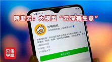 阿里云：大模型“云深有生意”