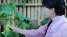 李子柒和奶奶摘了一箩筐黄瓜，统统切成段腌制起来