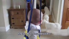 宝宝向前没走两步，就被学步带扯回来了，样子太逗了