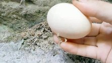 简简单单做个石板烤鸡蛋，撒上辣椒面，没想到这么好吃