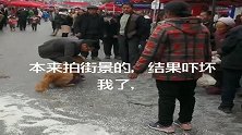 农村集市偶然拍到可怕一幕，一向温顺的金毛，开始发疯咬狗！