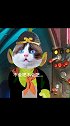 当小猫咪乱入西游记东土大唐来的喵星人萌宠出道计划萌宠猫