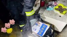 河南漯河：大火中抢救出寒假作业，消防员忍不住笑出了声