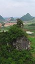 贵州大山顶一头恶狼眺望远方！大自然真鬼斧神工呀！