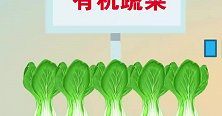 可可小爱：食以安为先，诚信利万家