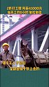 重庆 骡帮重现江湖，成为高级打工仔！