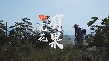 放弃百万年薪回老家种树做农民，这个30多岁的男人图什么?