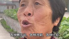 袁婆婆催外孙上班挣钱——现在过年越来越没有意思了