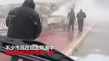 “下鱼”了！地中海岛国市民顶狂风巨浪捡鱼