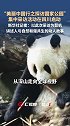 “美丽中国行“之探访国家公园集中采访活动：新华社记者黄垚：人与自然和谐共生